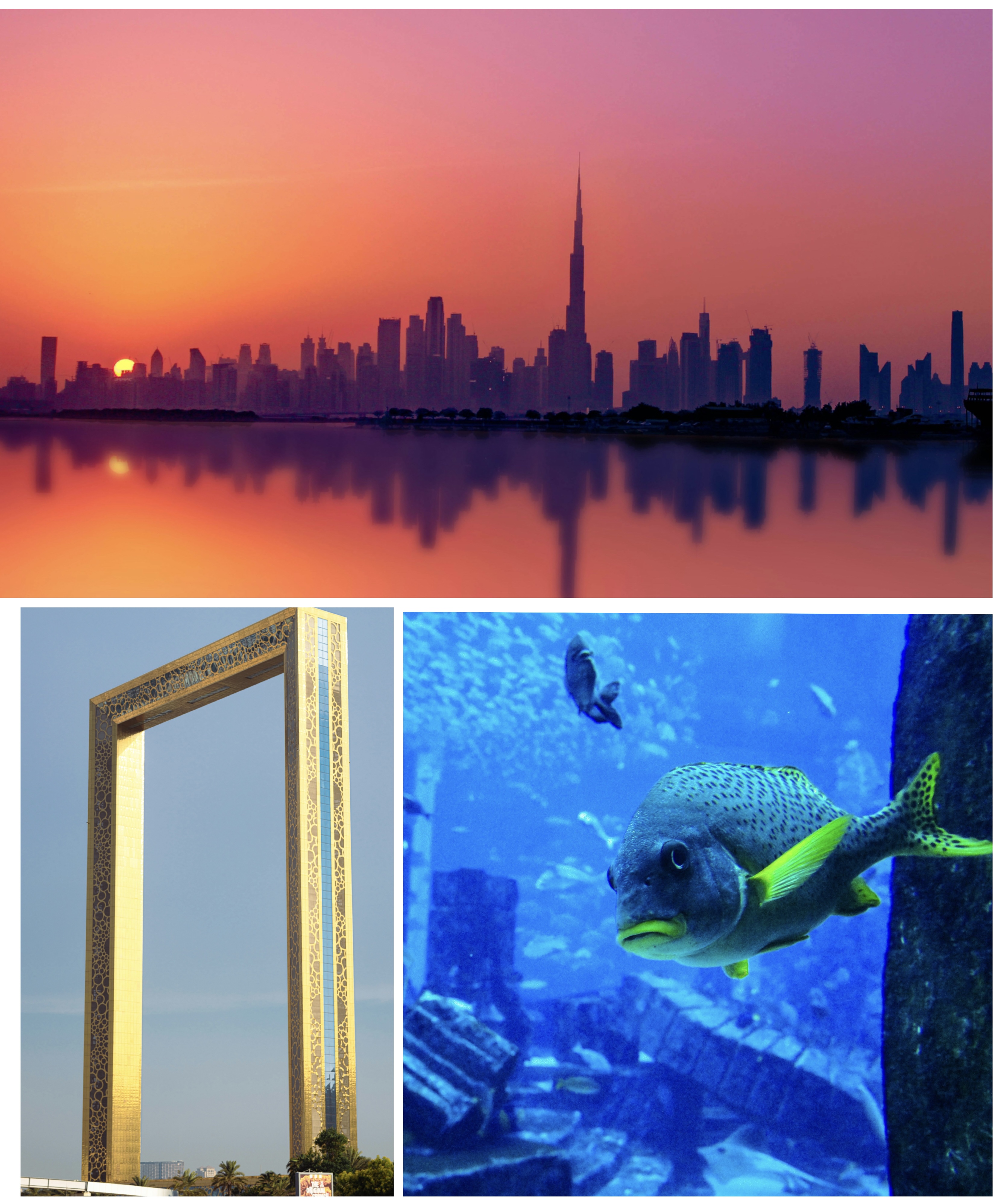 Dubai city tour + Dubai Frame + Aquarium.png
